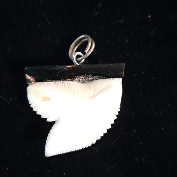 ❌SOLD❌Black coral shark tooth pendent - Picture 2 of 3
